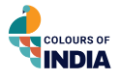 Colors of India NFT