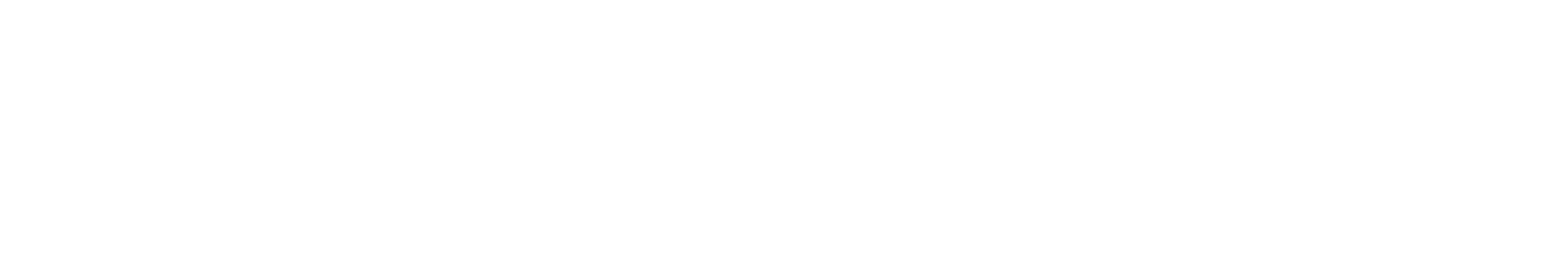 Persona