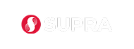 Sponsor 2